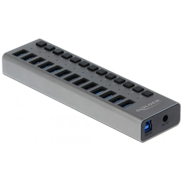 DeLOCK Externer SuperSpeed USB Hub Mit 13 Ports + Schalter, USB-Hub