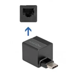 DeLOCK USB 3.2 Gen 1 Adapter Mini, USB-C Stecker > RJ-45 Buchse